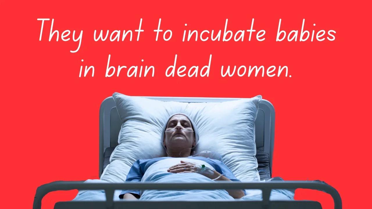 They want to incubate babies in brain-dead women's bodies. Are we in dystopia yet?