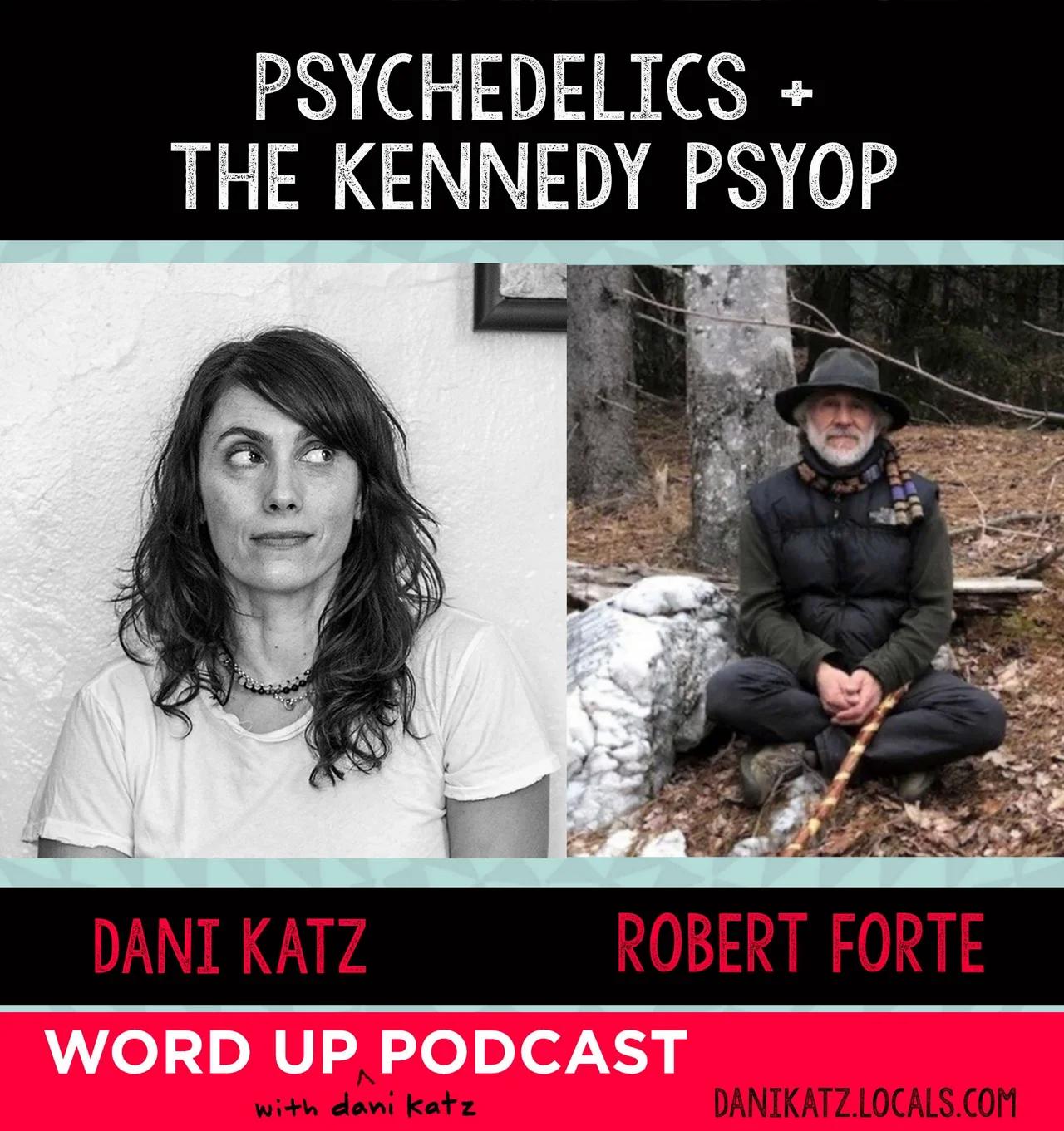 Psychedelics and the Kennedy Psyop with Robert Forte. Pt. 1