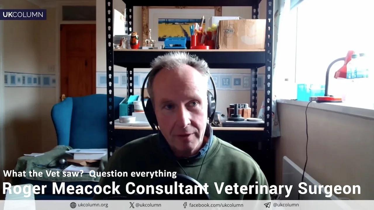 What the Vet saw? Question everything with Roger Meacock Consultant ...