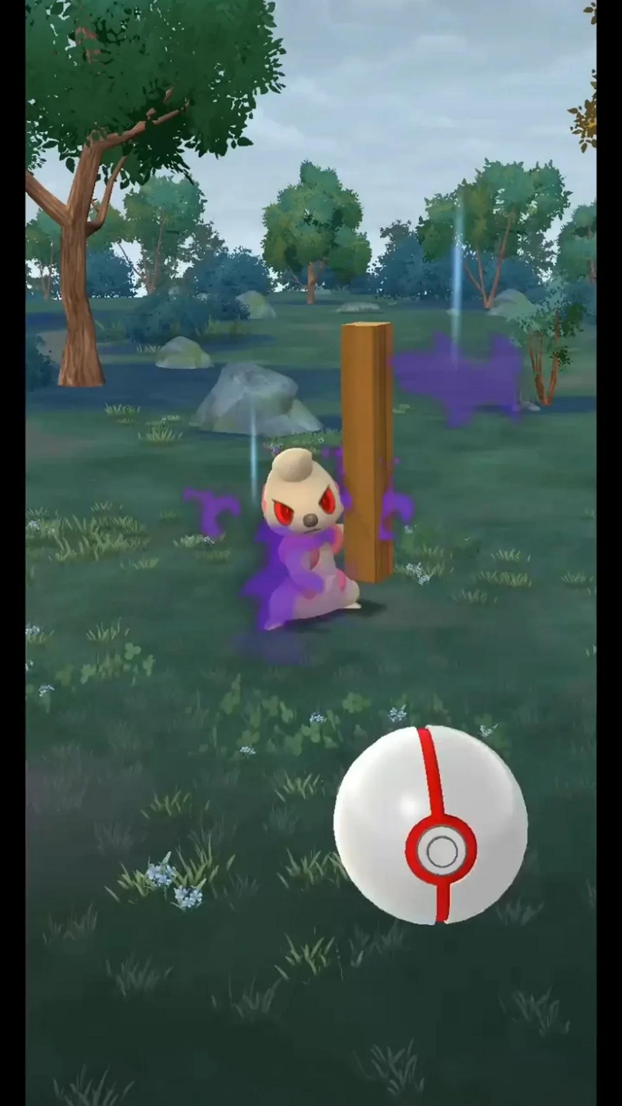 Pokémon GO-Shadow Timburr