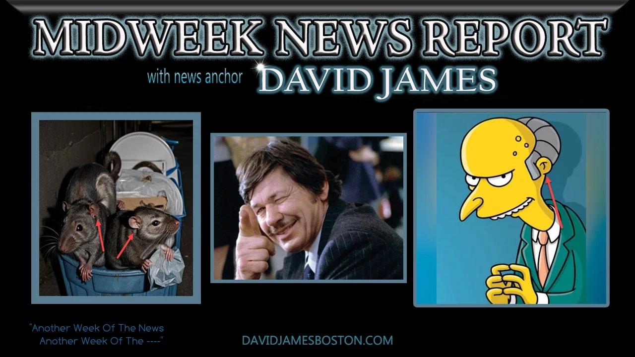 Midweek News Report ( 13th November, 2024 ) - 1hr2m