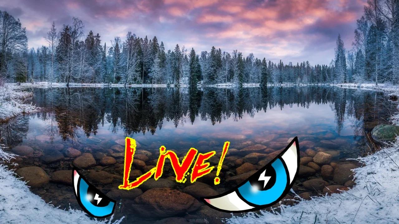 White Rabbit Radio Live | Crypto Queens, Killer Pigs and Dog Walkers ...