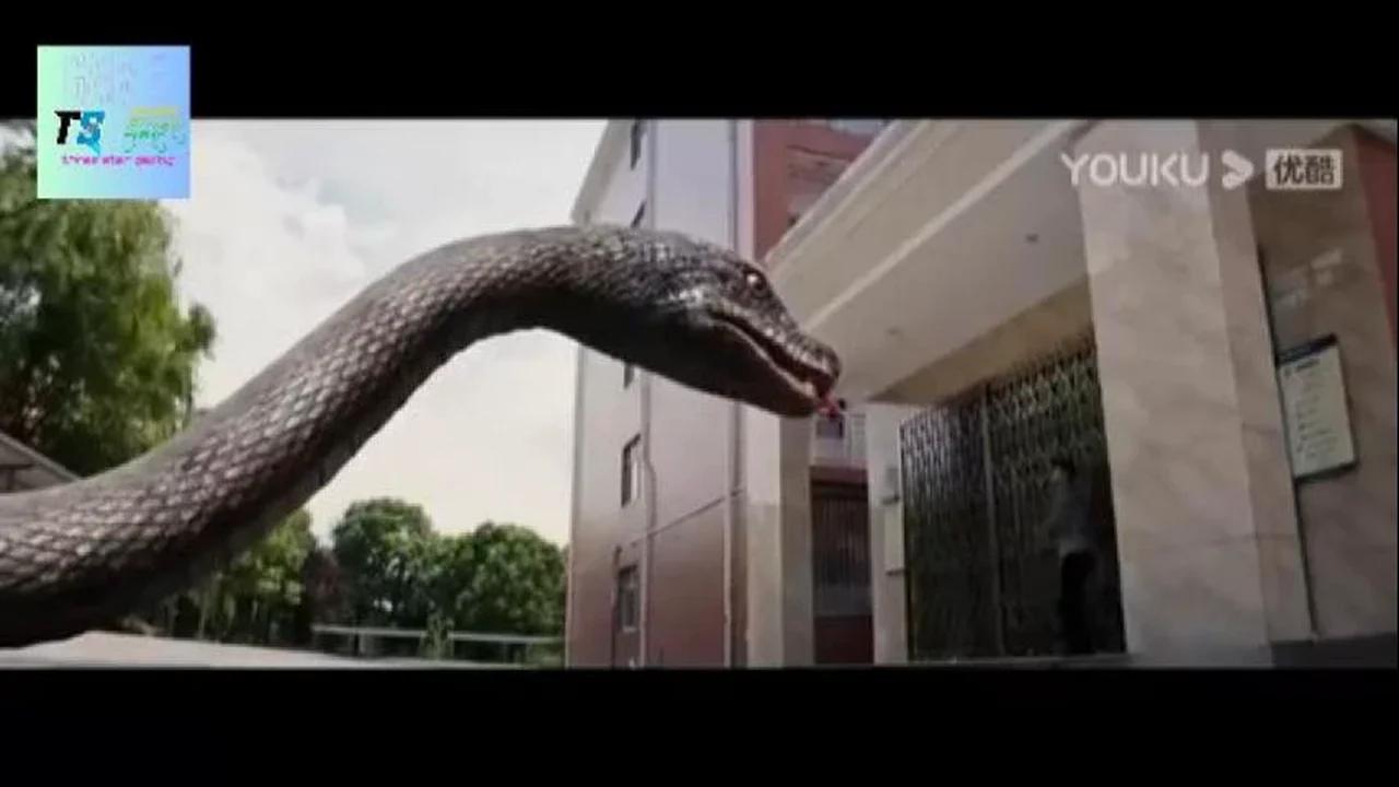 Snake Movie