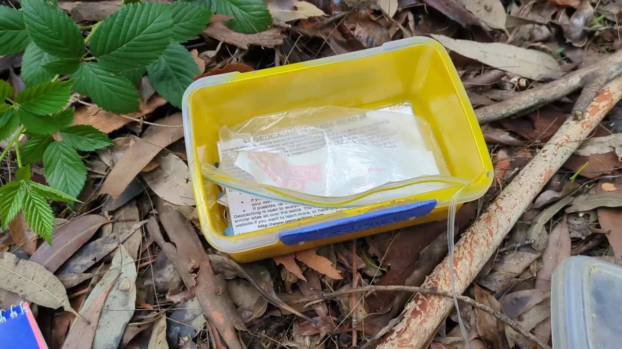 Imágenes de Contenedor Geocache - Descarga gratuita en Freepik