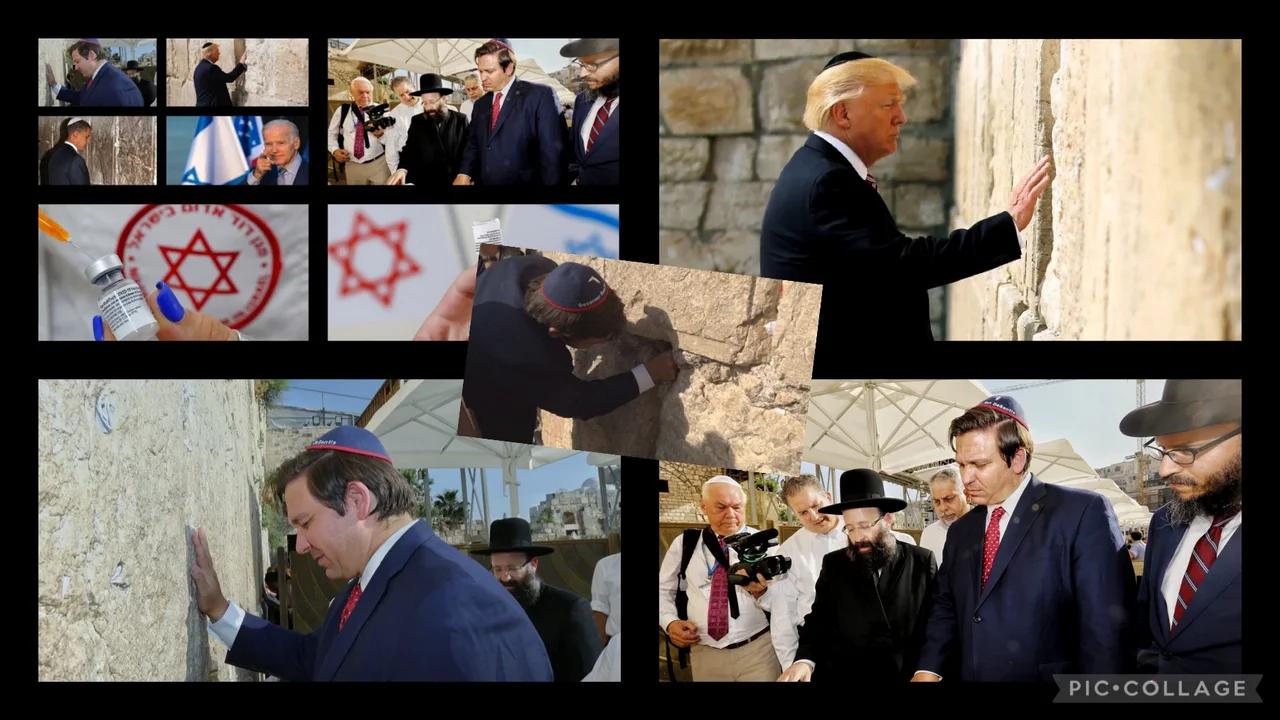 🚨"JEW VS GERMAN IN THE USA"