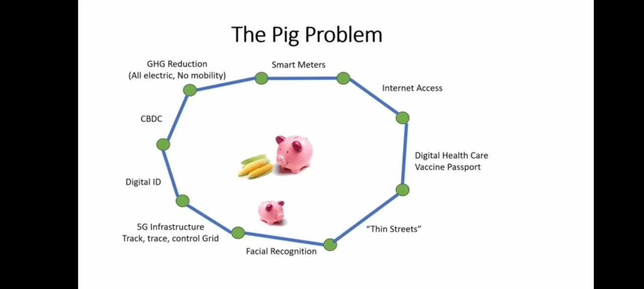 pig problem solving video