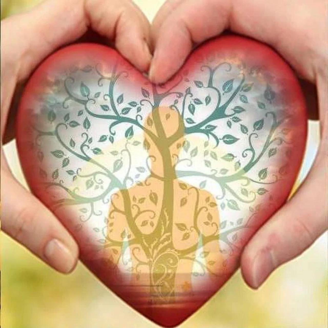 Occidentale Méthode