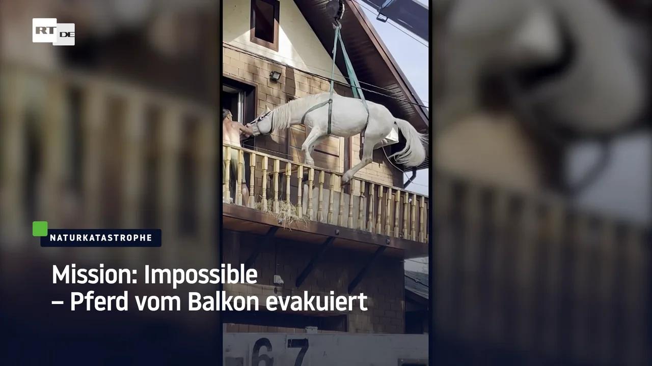 ⁣Mission: Impossible – Pferd vom Balkon im russischen Flutgebiet Orenburg evakuiert