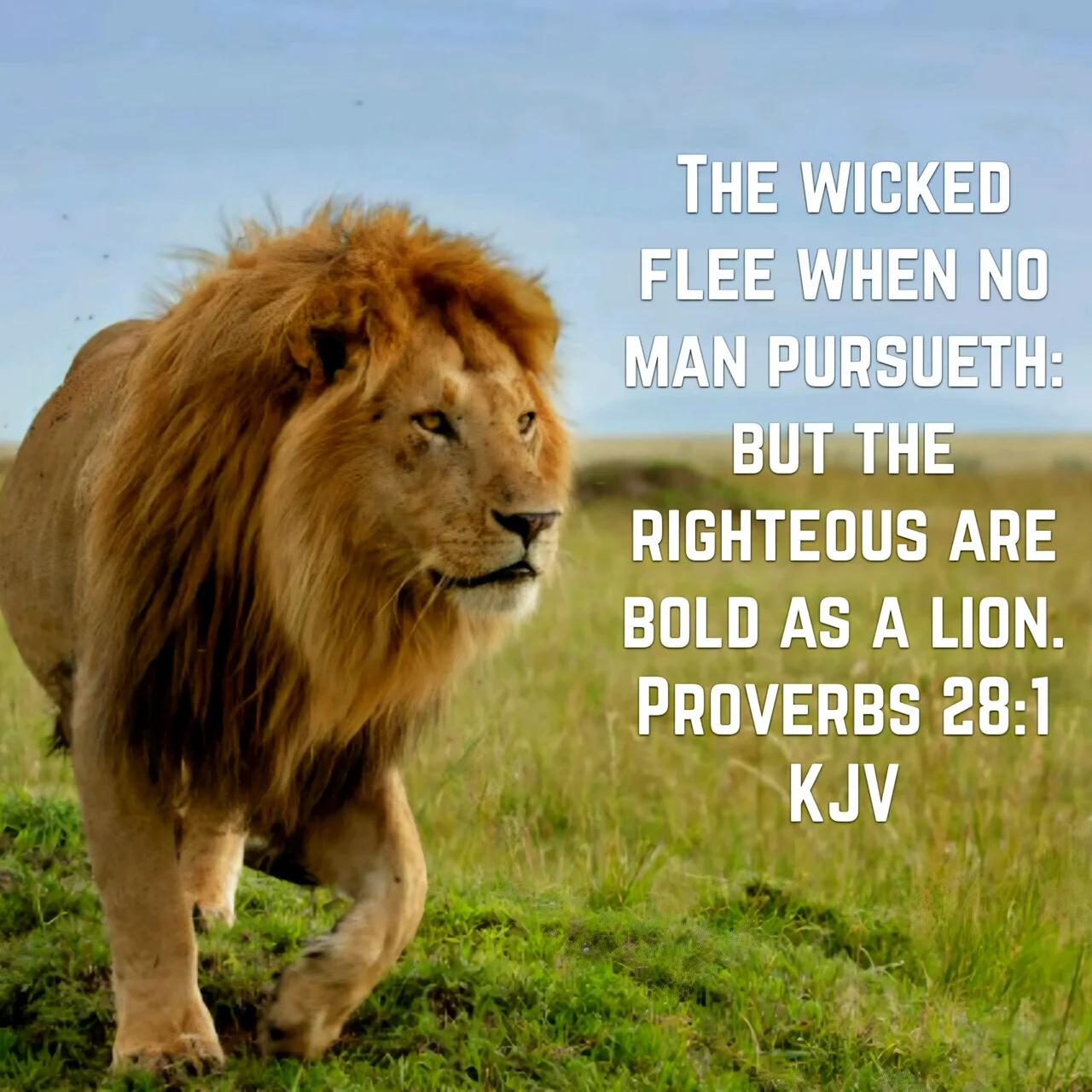 Proverbs 28:1 - Righteous Bold as a Lion - YAHWEH