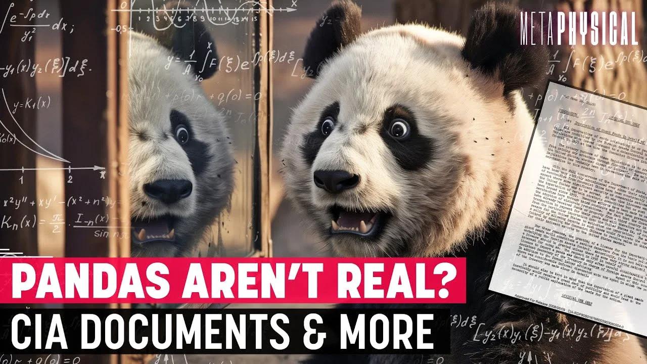 Pandas Aren’t Real! ........? | Metaphysical