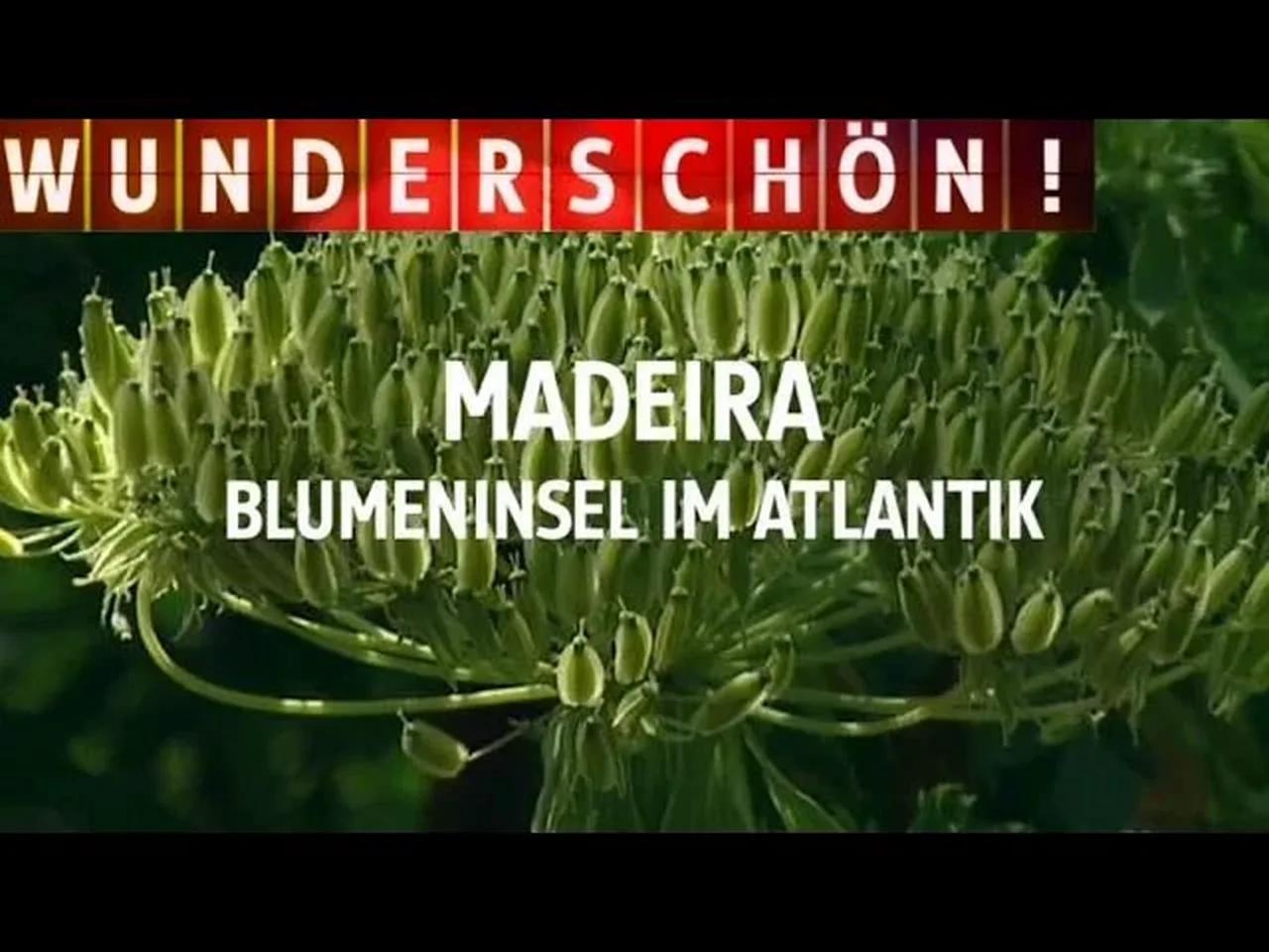 Madeira - Blumeninsel im Atlantik - Wunderschön! - mit Tamina Kallert ...