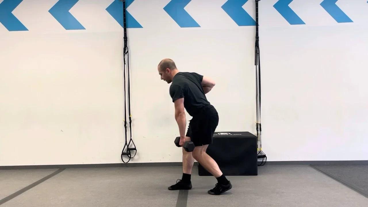 Dumbbell Row Variations