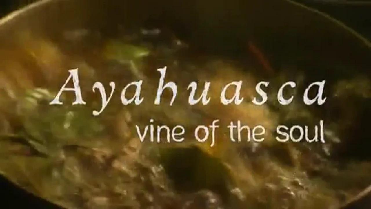 Ayahuasca Vine of the Soul