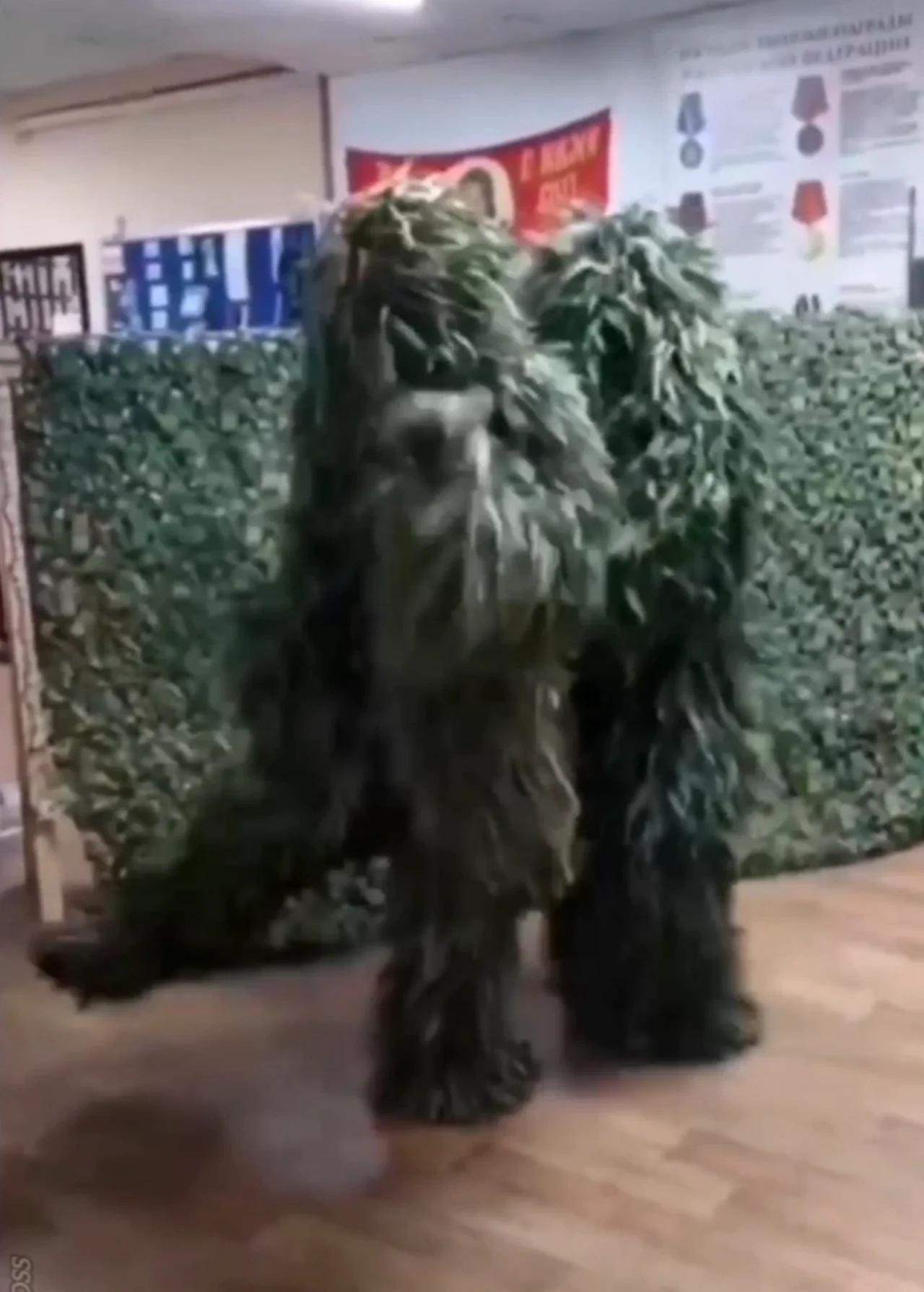 ёяу я п A ёязмёязз ёязлёяз The Sniper Yeti Dance ёяшвёядгёяшб