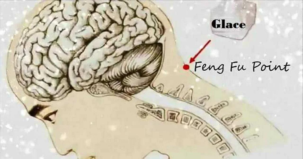 Le point Feng Fu