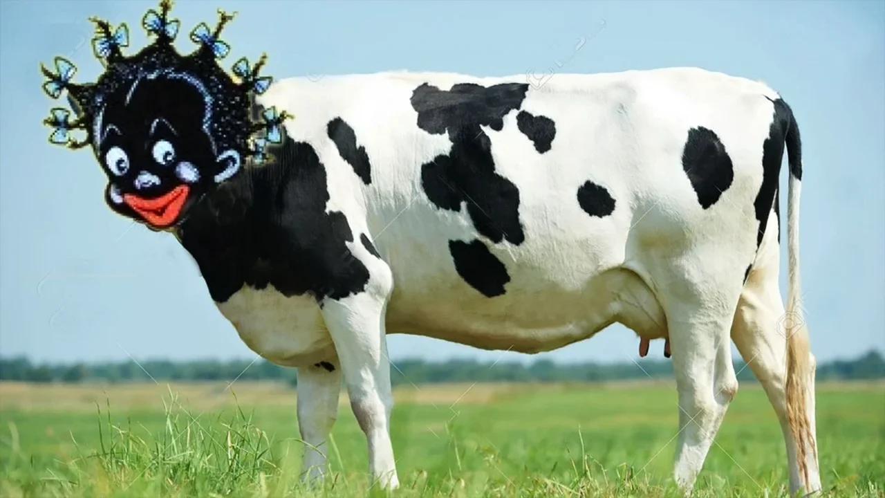 Jim Goad A Cow Named Jigaboo