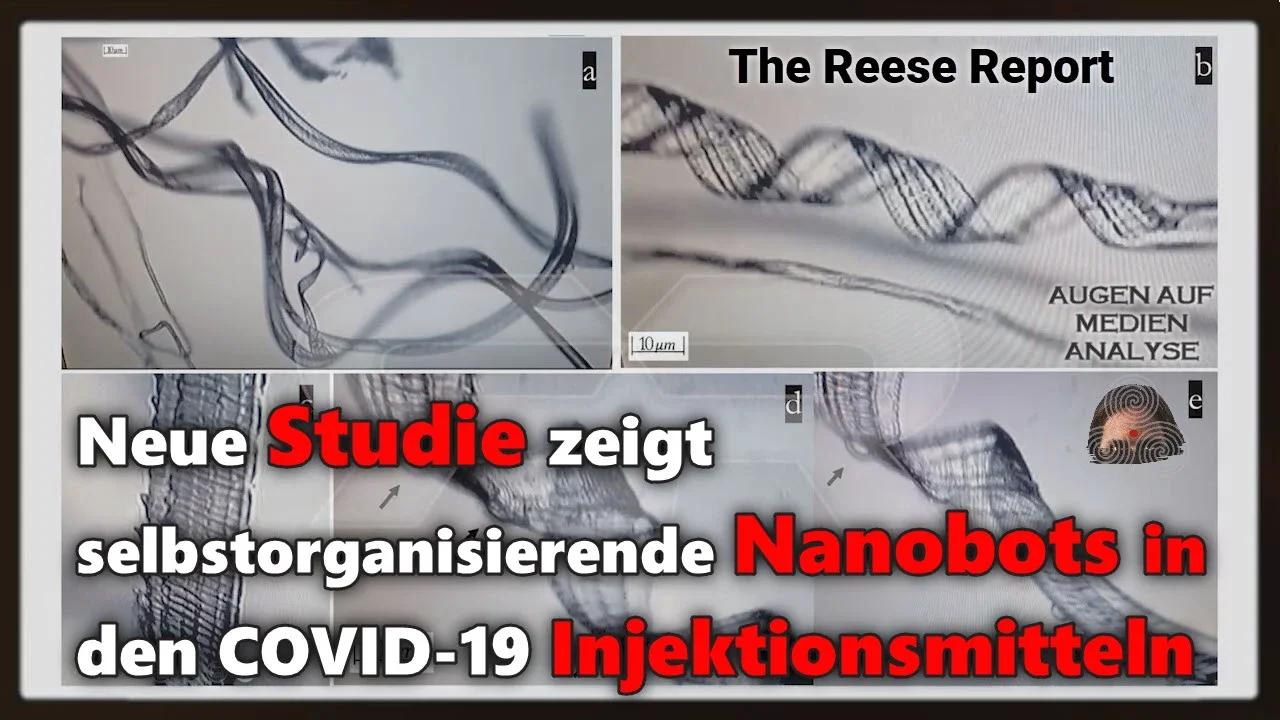 ⁣Neue Studie zeigt selbstorganisierende Nanobots in den COVID-19 Injektionsmitteln (The Reese Report 