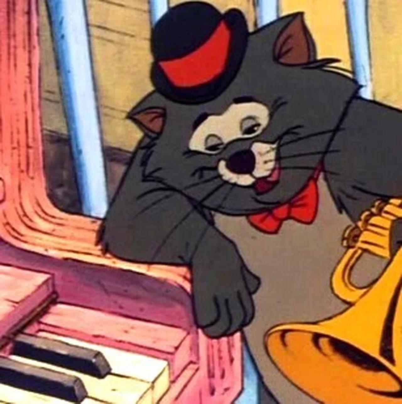 Scatt Cat
