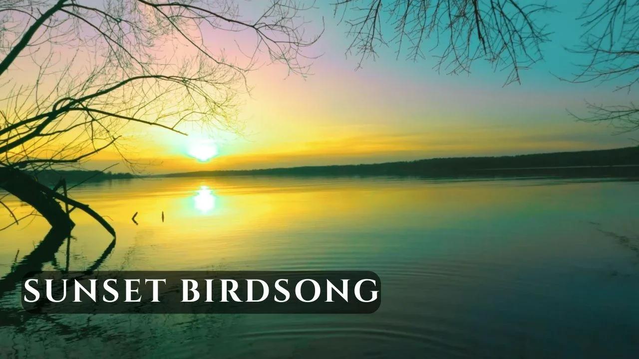 Sunset Birdsong by the Lake • Evening Nature Sounds for Relaxation ...