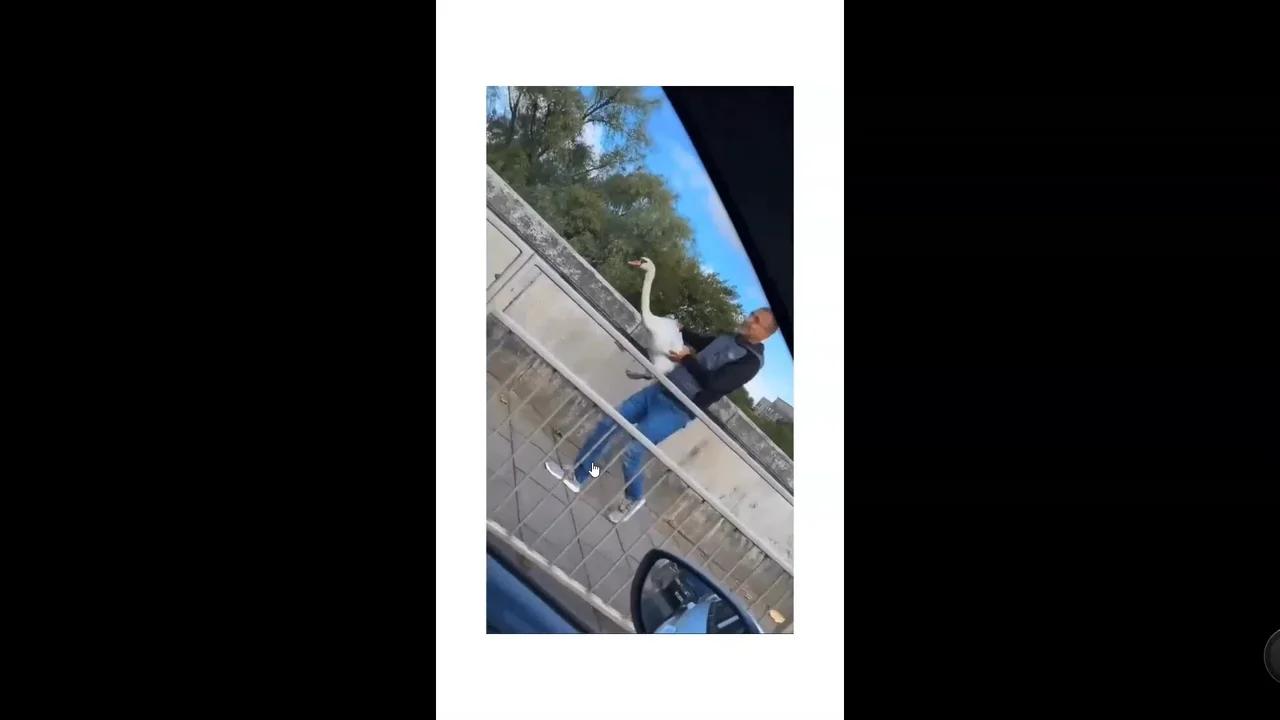 An example of the disconnect
