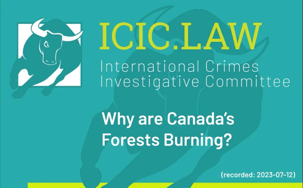 Why Are Canada s Forests Burning Mit Peter Mac Issac Why Are Canada s Forests Burning Mit Peter Mac Issac
