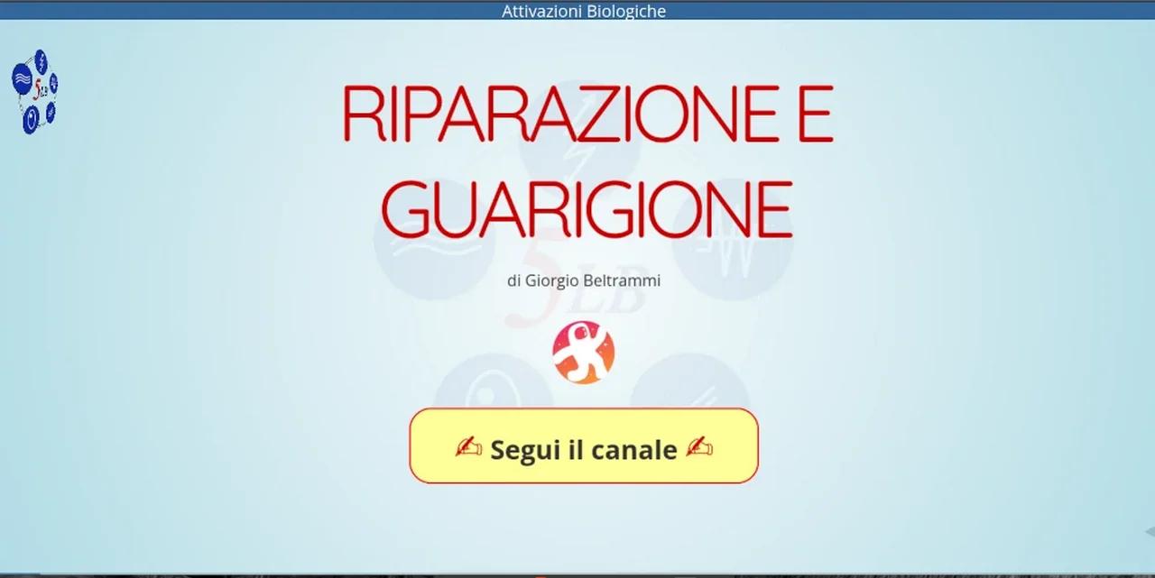 Riparazione E Guarigione