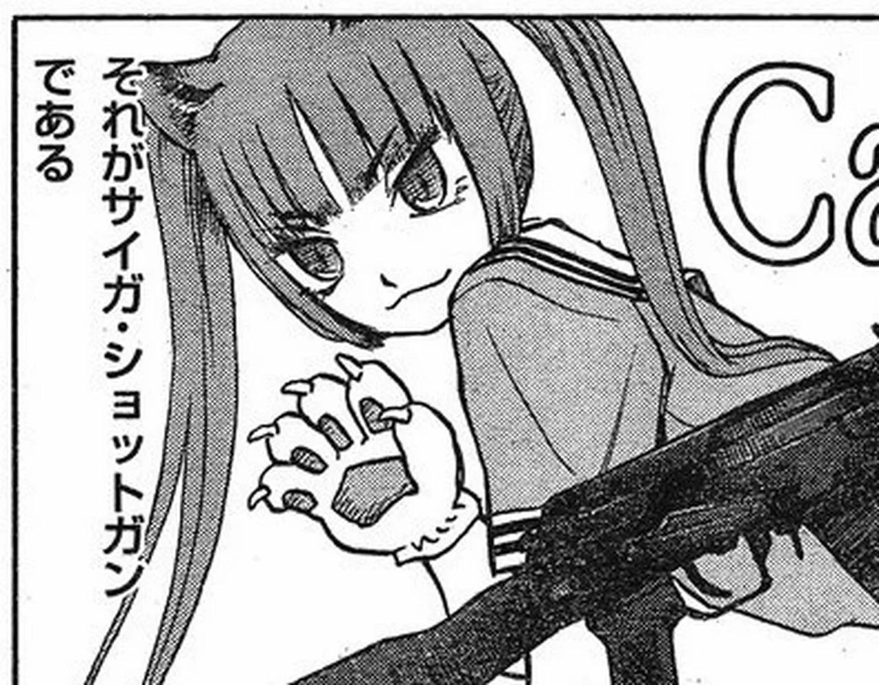 type-r-firearms-experimental-laboratories