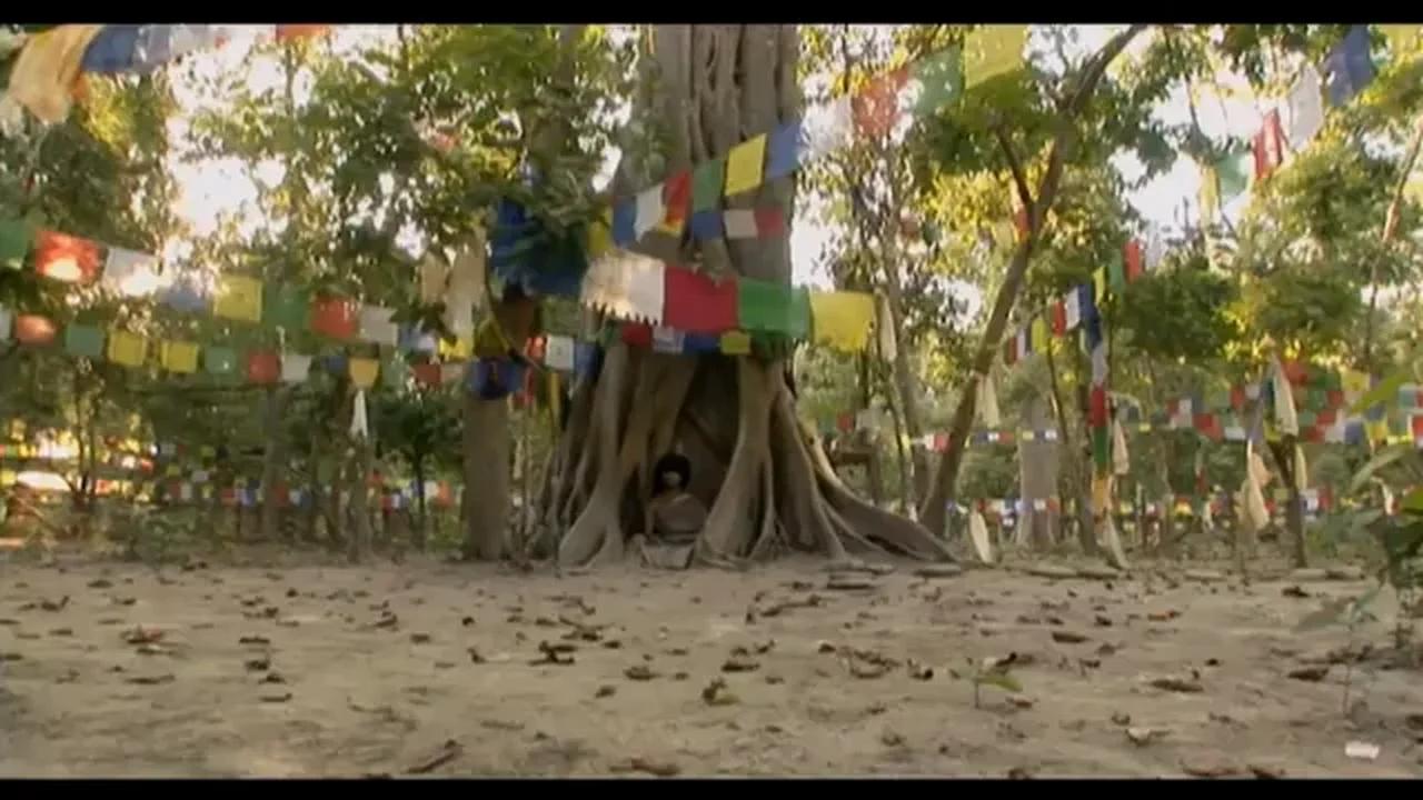 Le retour du Petit Buddha - Documentaire HD en français