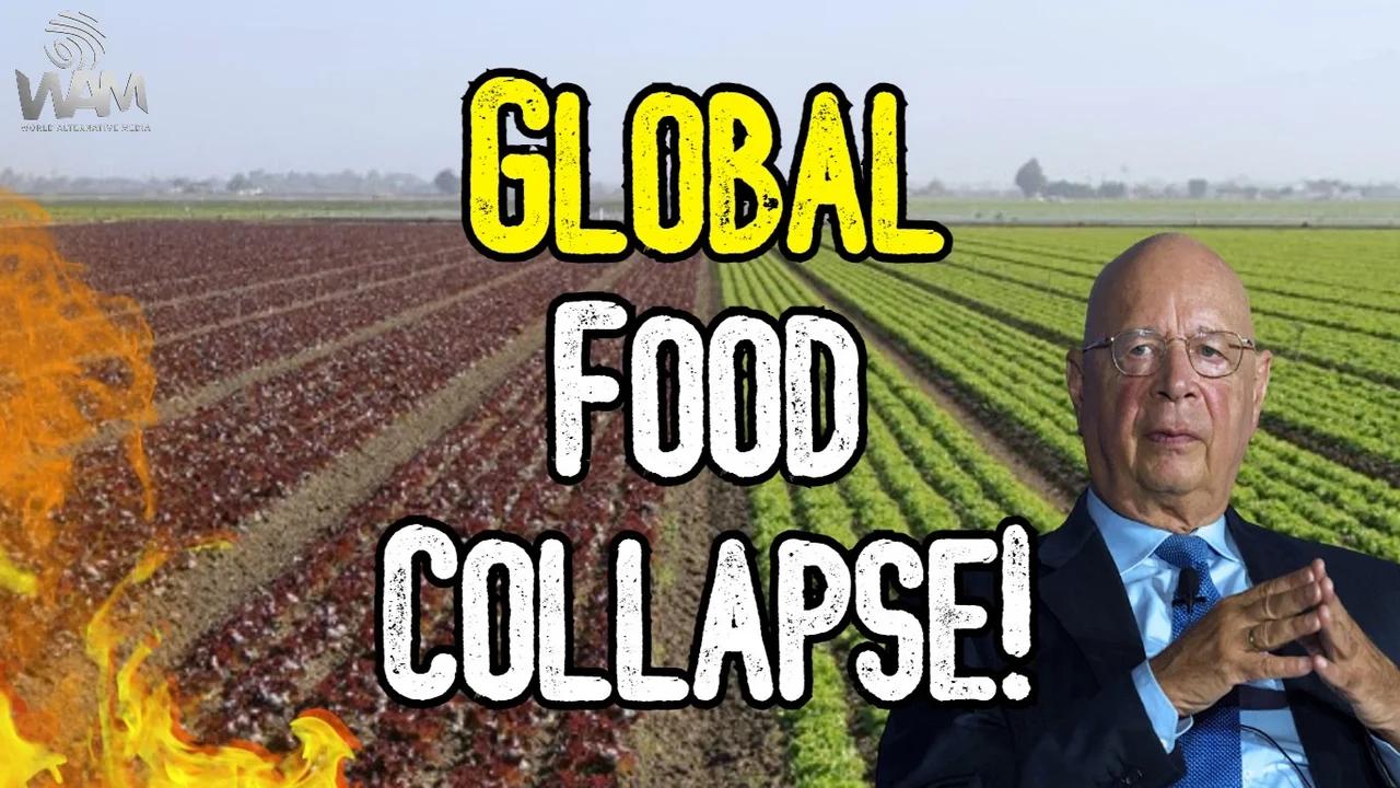 GLOBAL FOOD COLLAPSE! - Shortages Lead To Rations As Globalists Attack ...