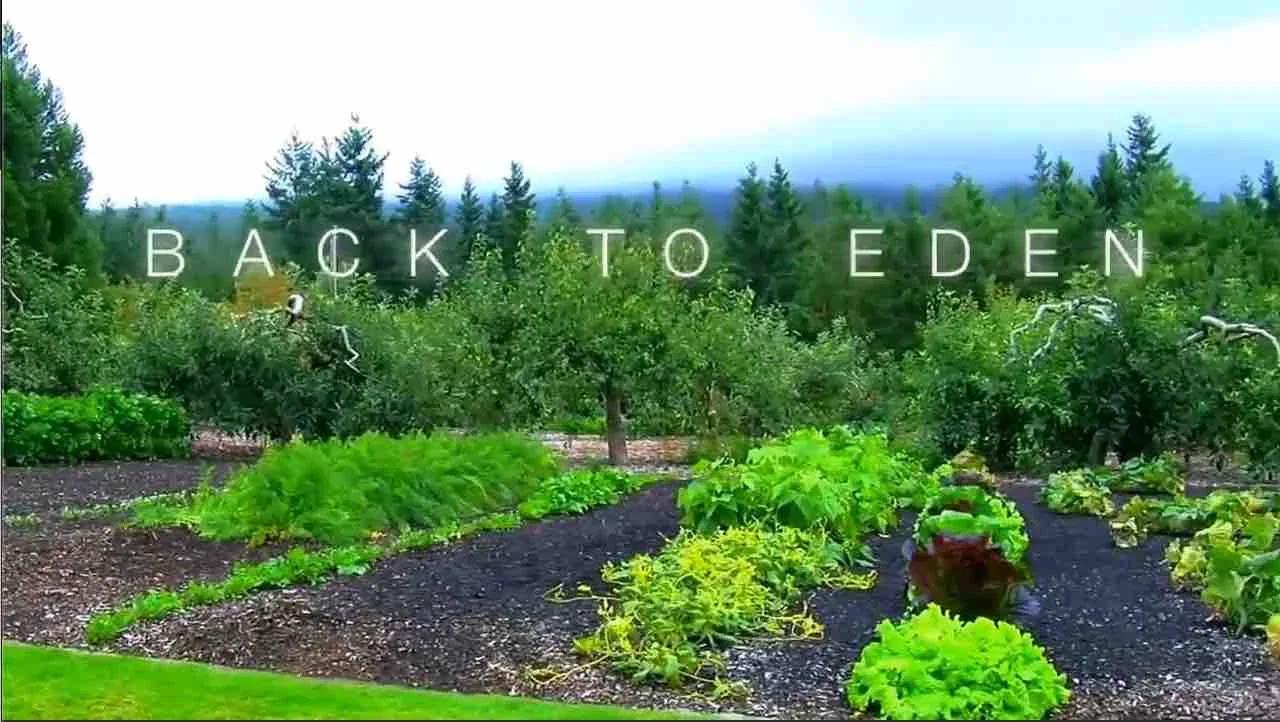 Back To Eden Organic No Till Gardening 2011