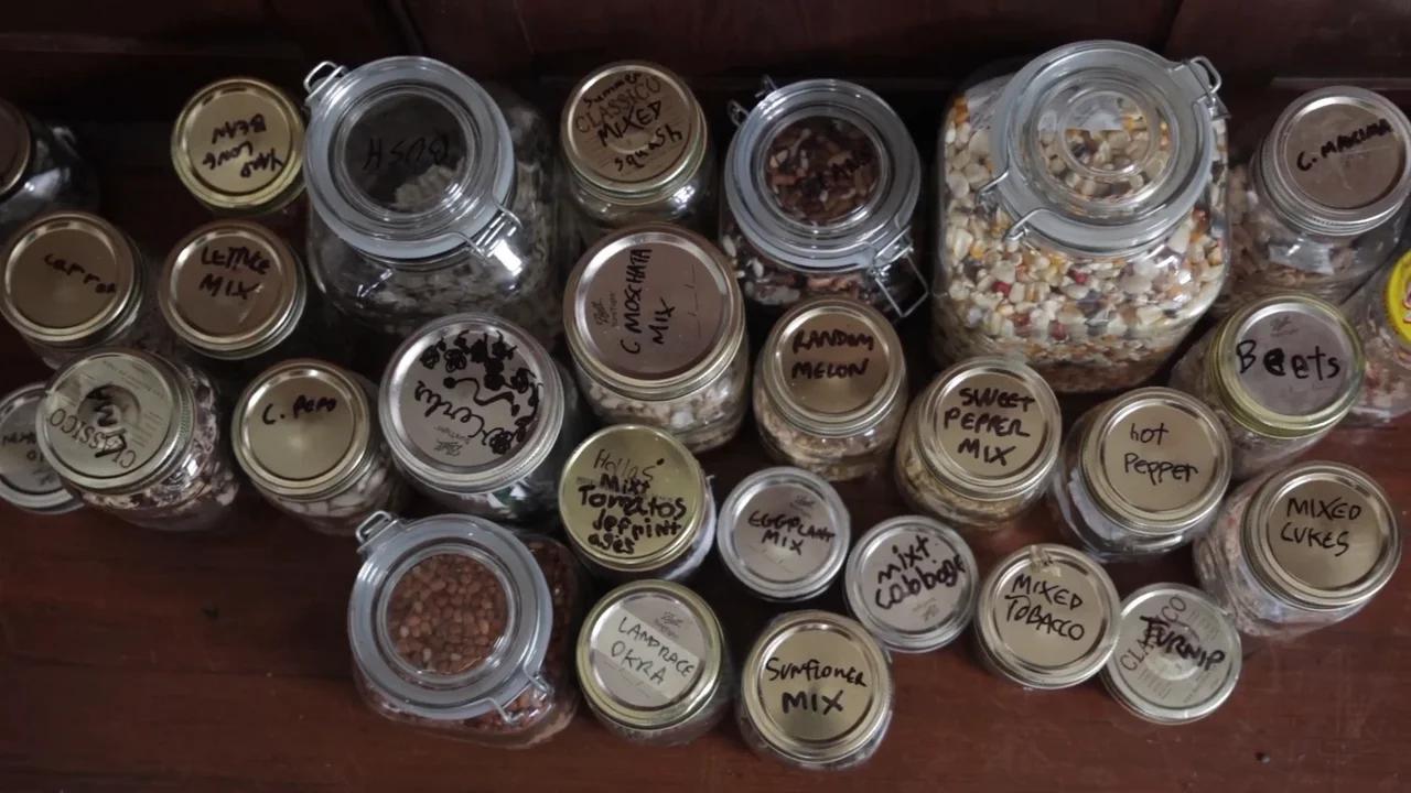 How To Start Your Own Doomsday Seed Vault Two Powerful Methods