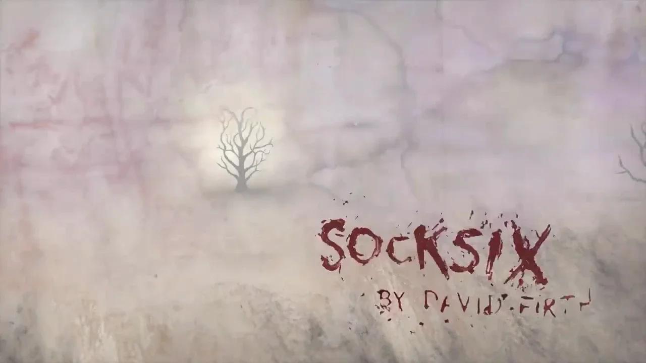Sock Six