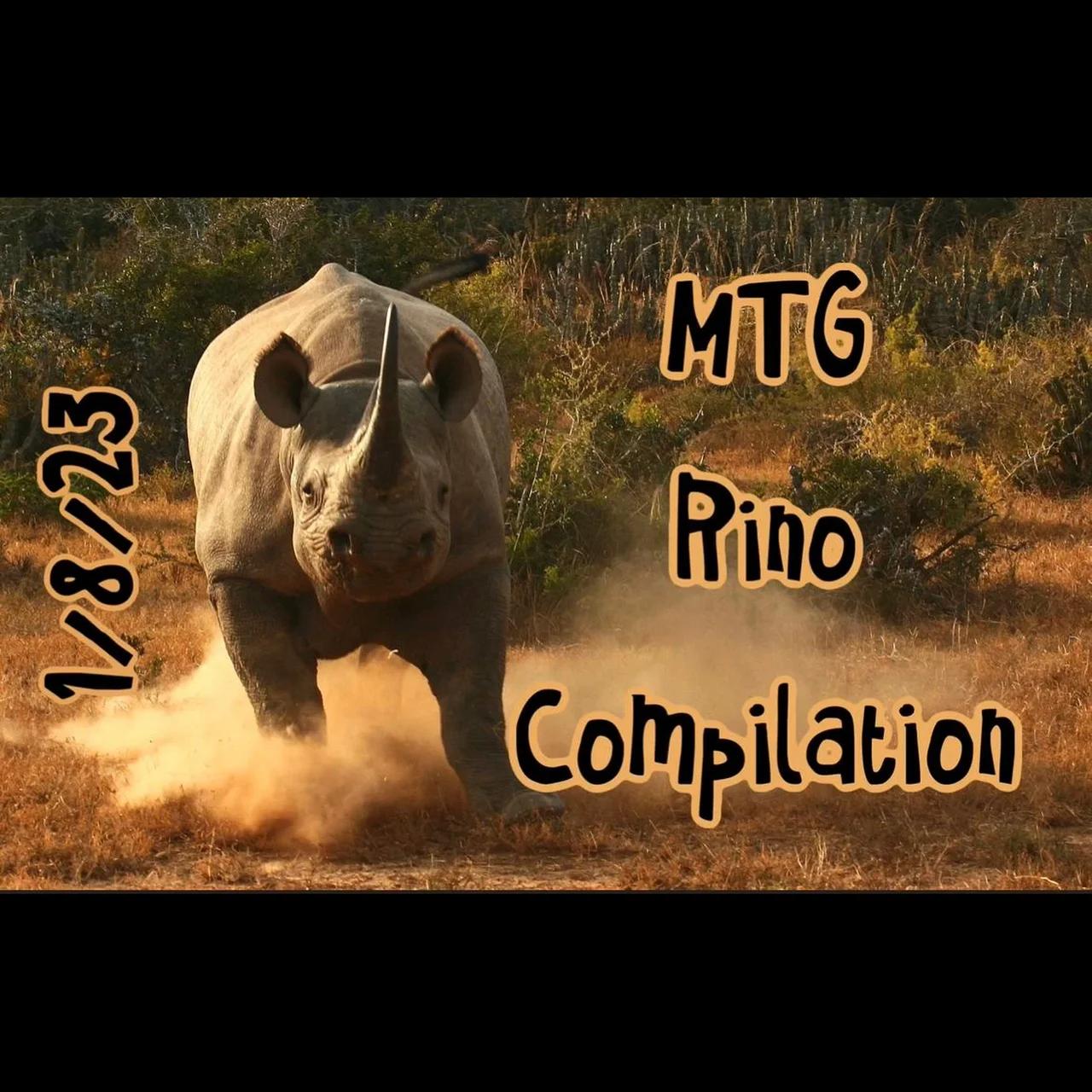 MTG RINO Meme Compilation