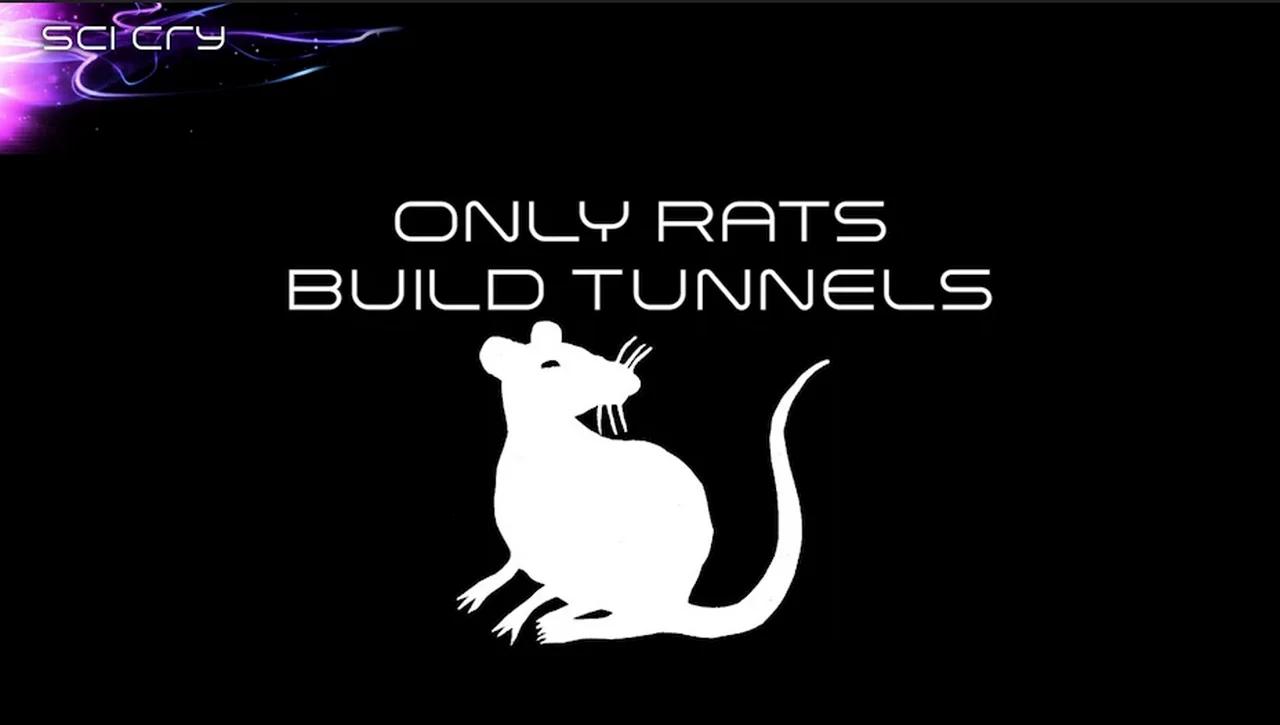 Only Rats Build Tunnels by SciCry