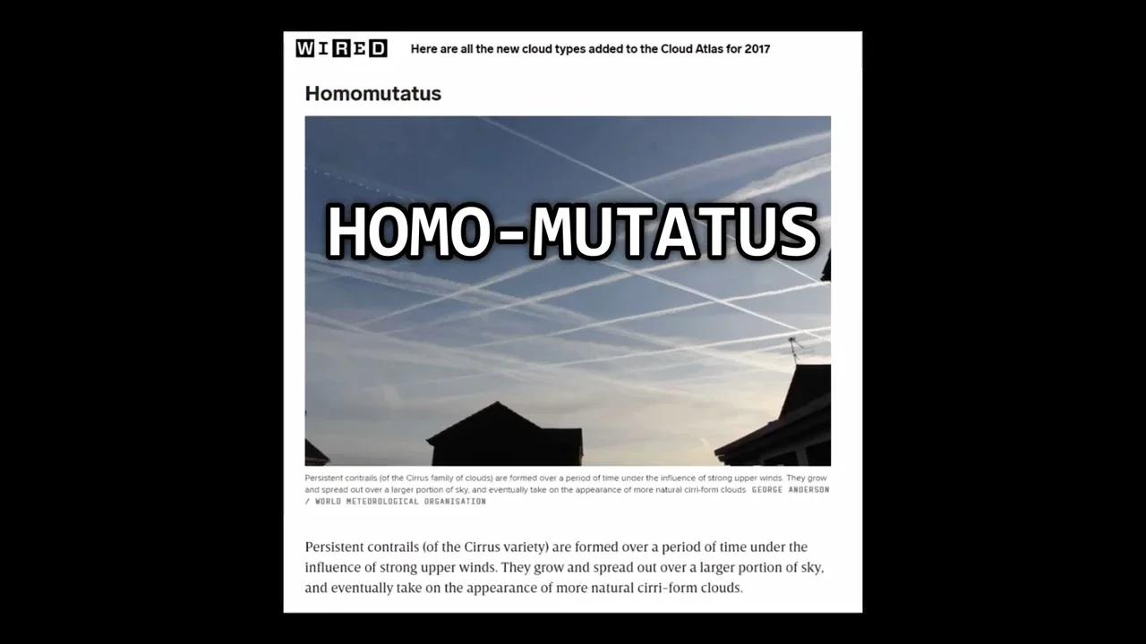 Thrifting is Killing the Planet and Your Personal Style