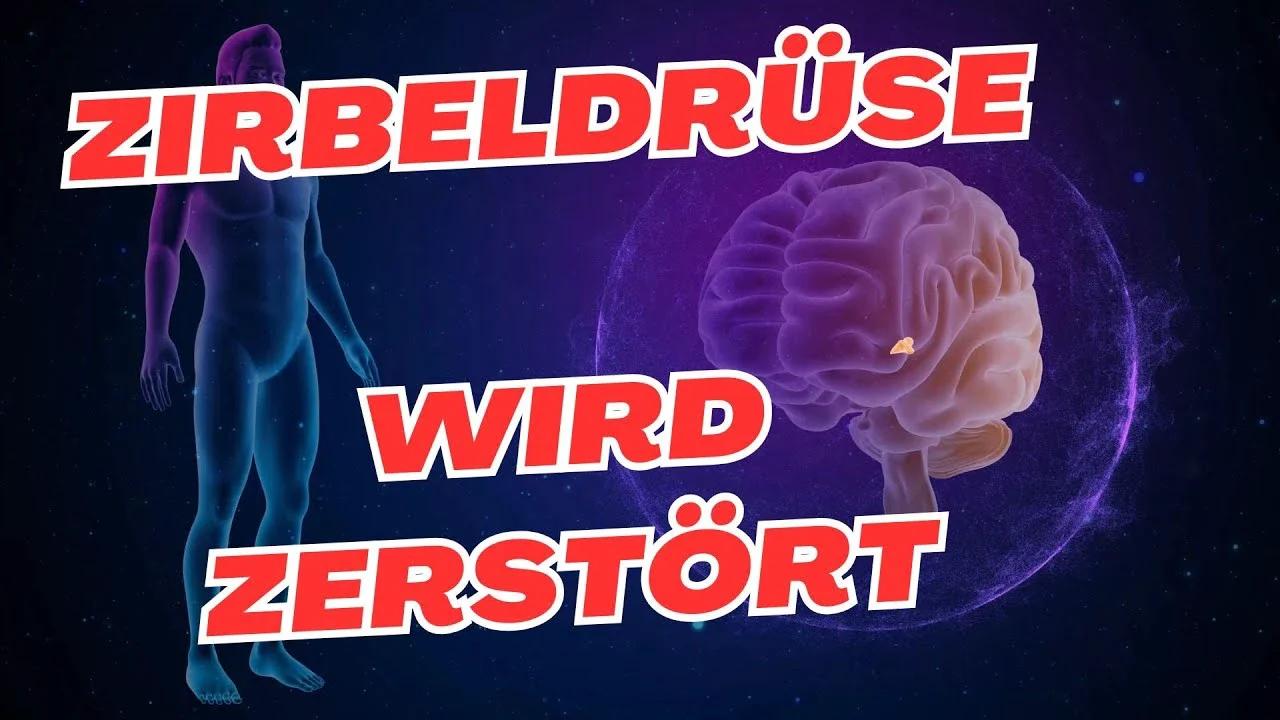 🧠Zirbeldrüse entkalken & aktivieren – Der Schlüssel zu Gesundheit