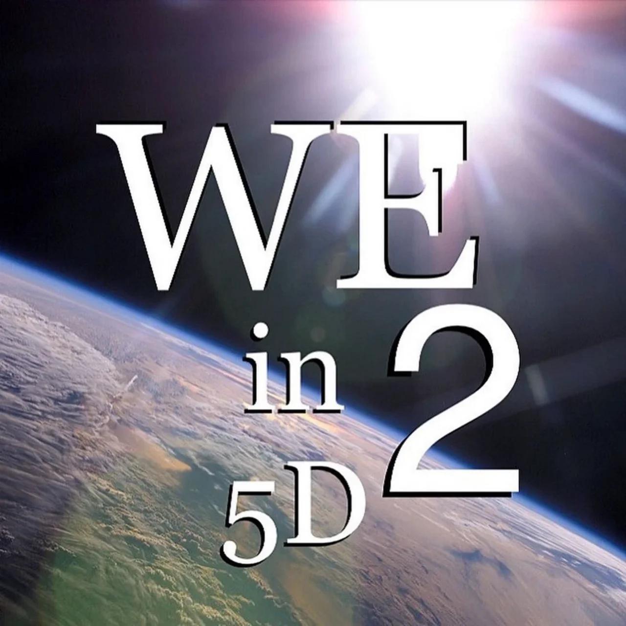 WE in 5D Tarot