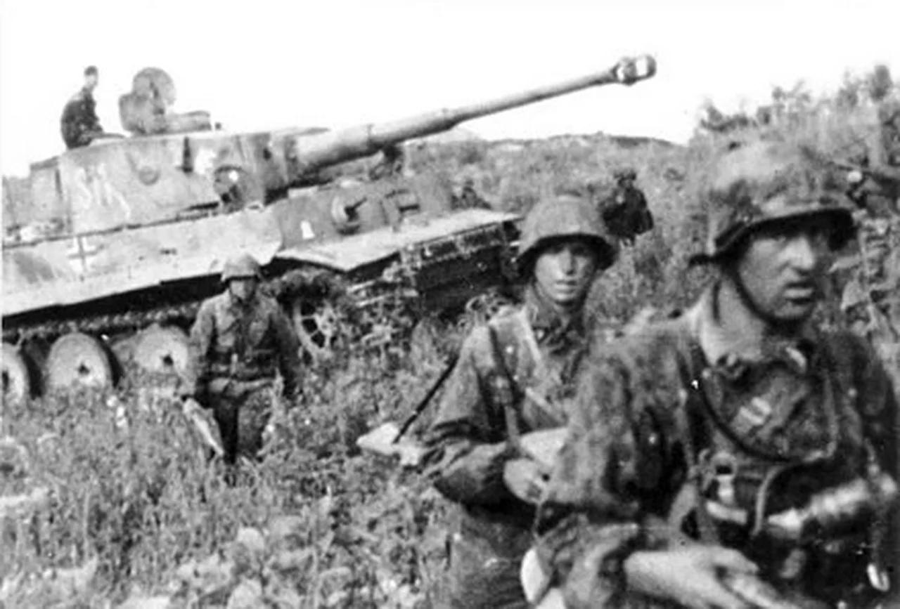 Steel Storm : Waffen SS Panzer Battles on the Eastern Front 1943-1945 ...