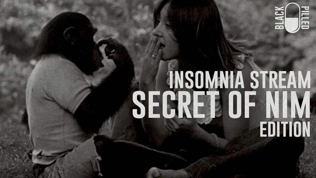 INSOMNIA STREAM: SECRET OF NIM EDITION