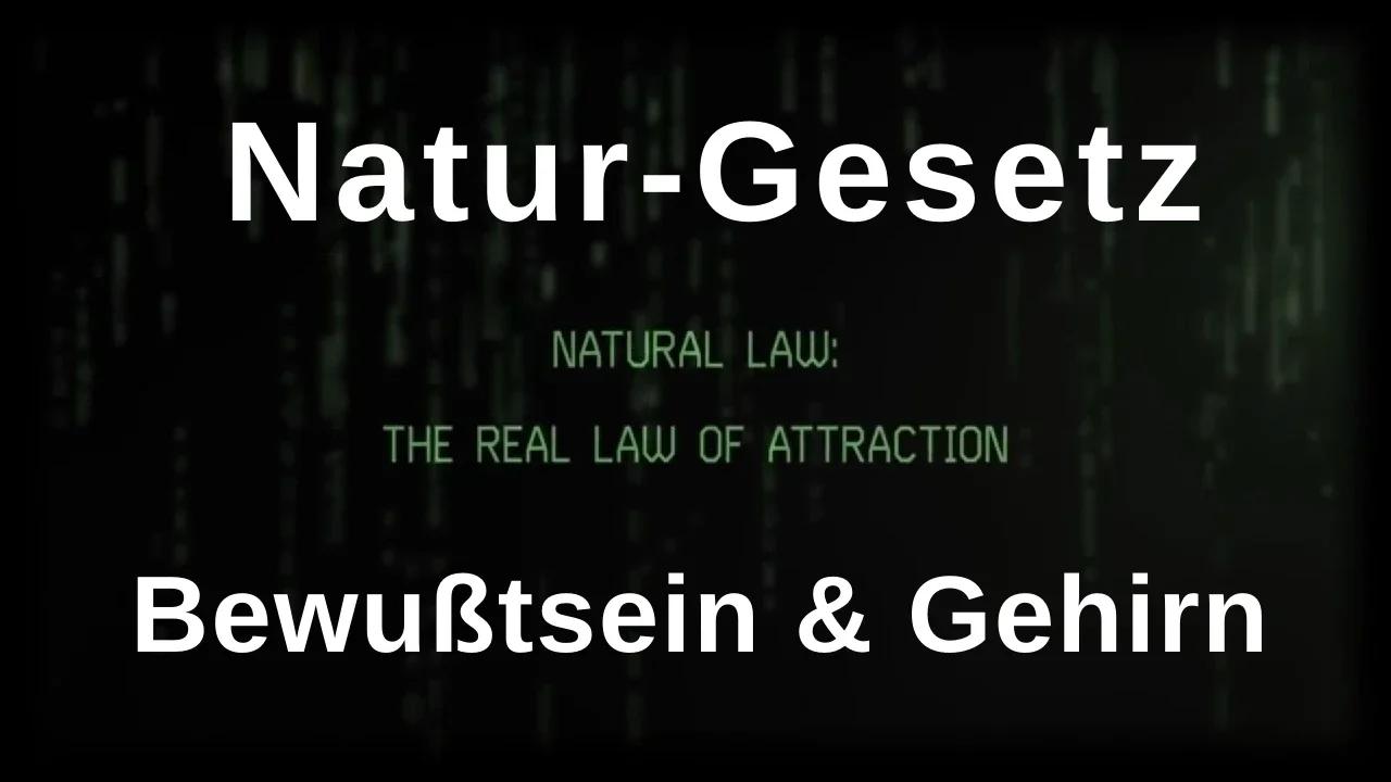 04 Natur-Gesetz_Bewusstsein-Gehirn