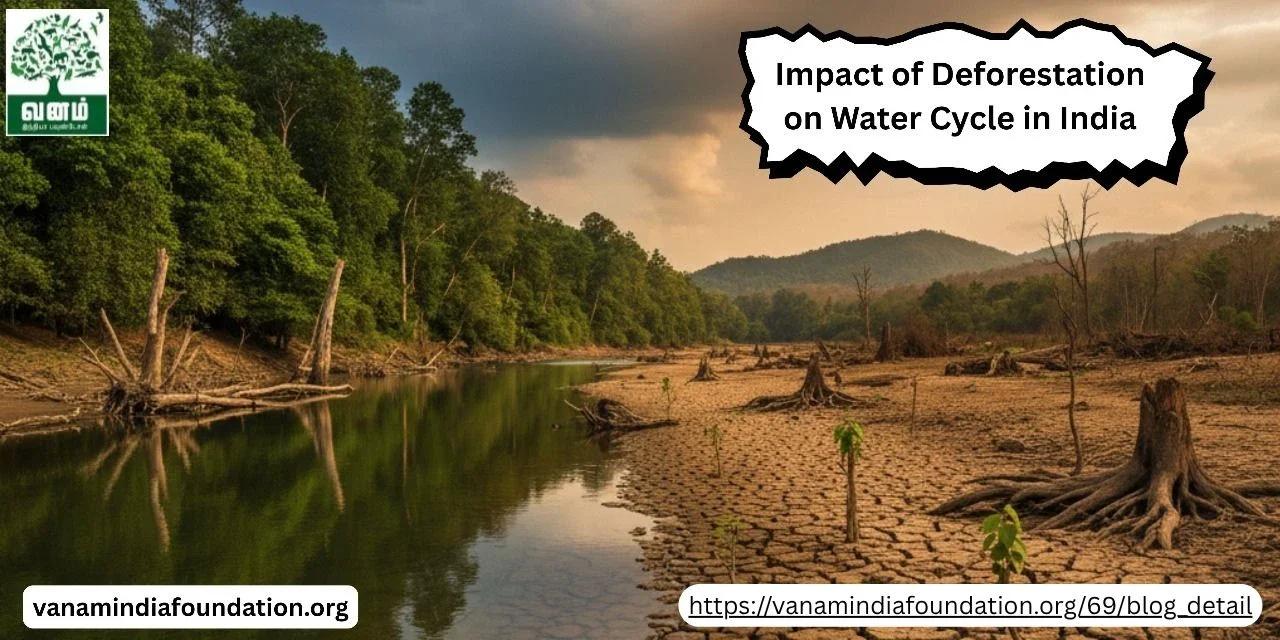 Impact of Deforestation on Water Cycles in India and Mitigation ...