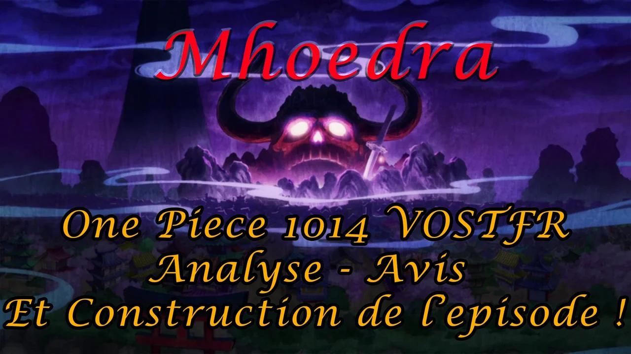 One Piece Episode 1014 Analyse - Construction - Avis