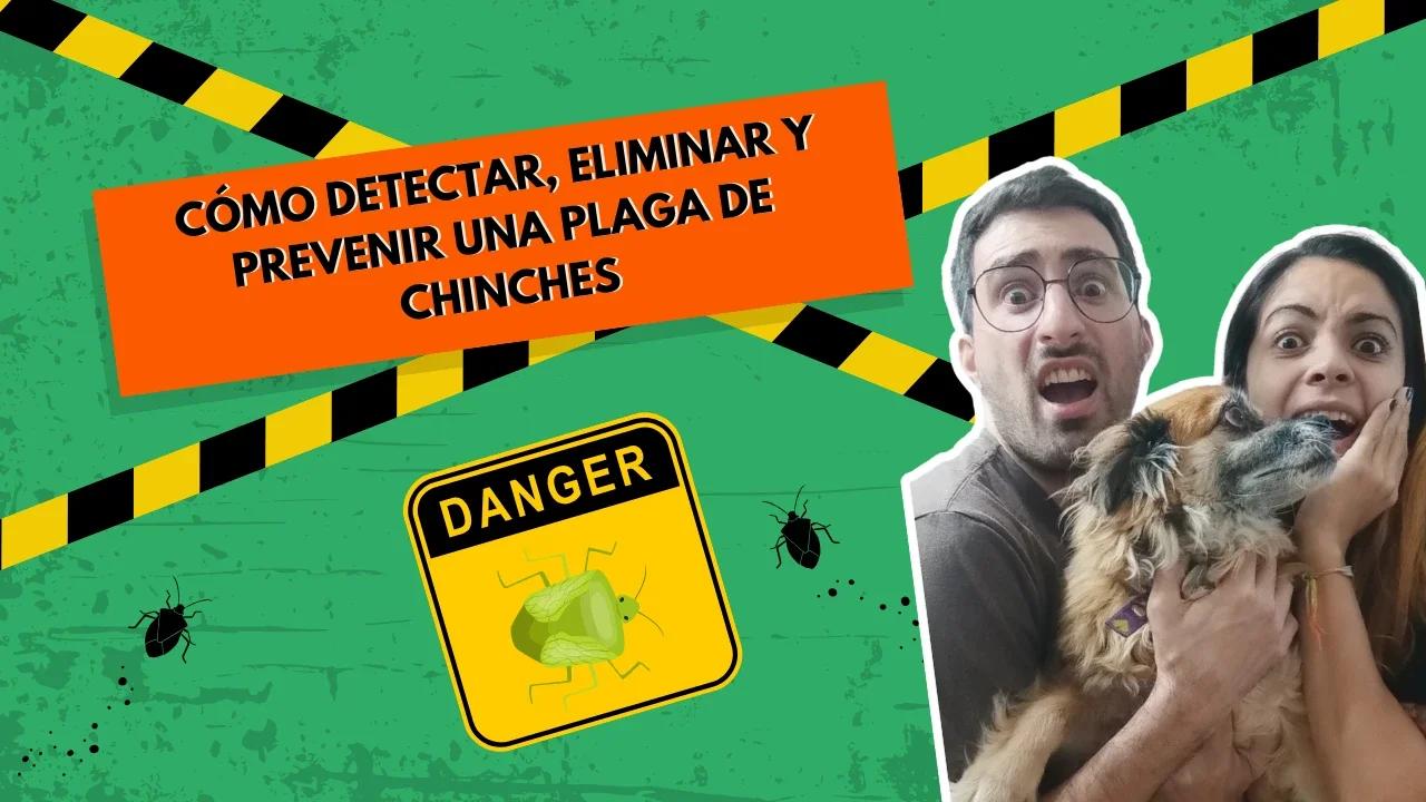 COMO DETECTAR, ELIMINAR Y PREVENIR UNA PLAGA DE CHINCHES ⚠️🐞
