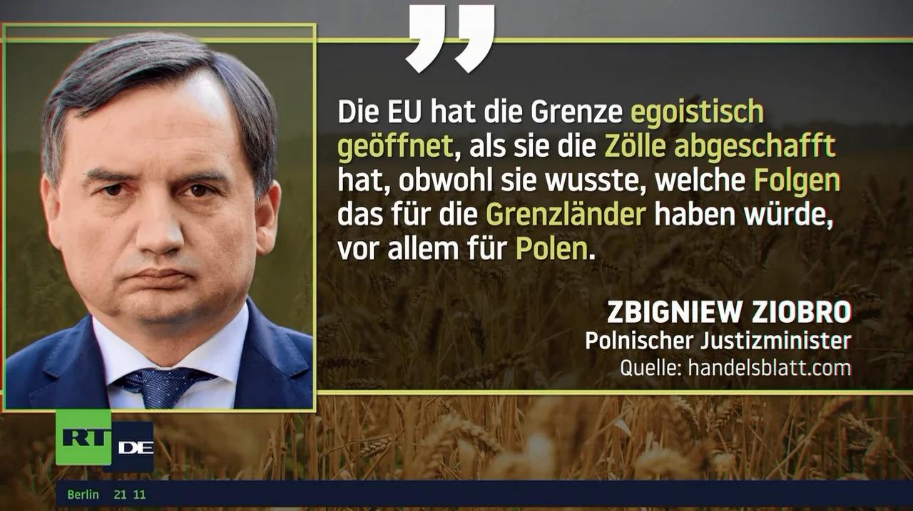 Polen mit ukrainischem Getreide überschwemmt: Regierung plant ...
