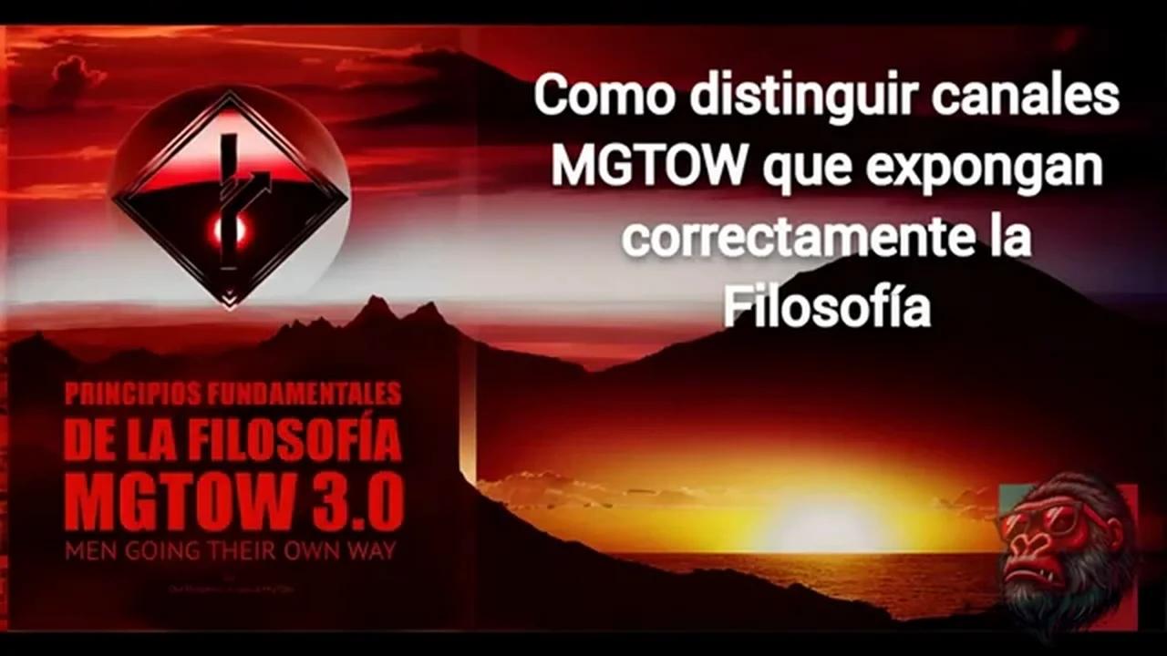 DISTINGUIR CANALES MGTOW