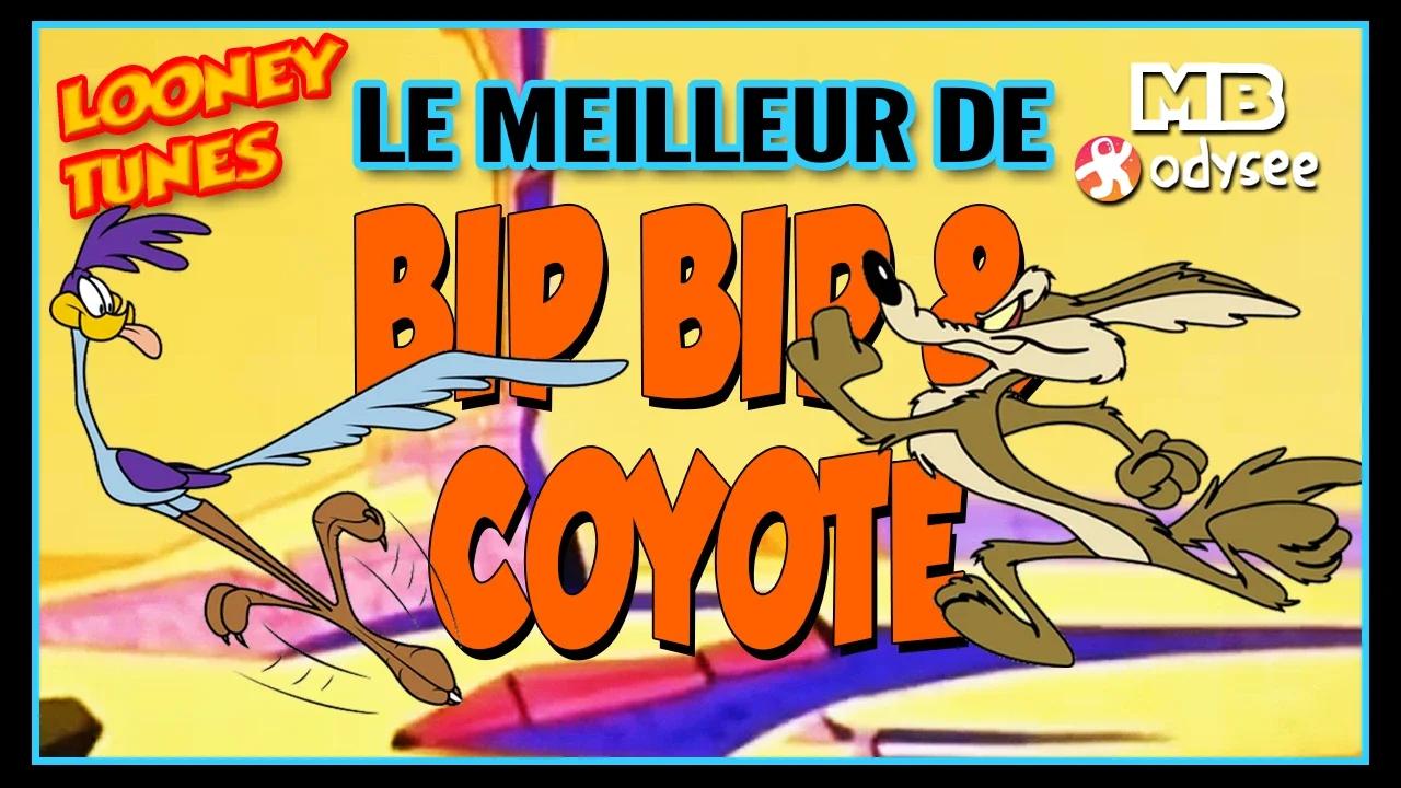 Figurines Pixi-Mini Bip Bip Et Coyote - Boîte Et Certificat - Plomb 1995