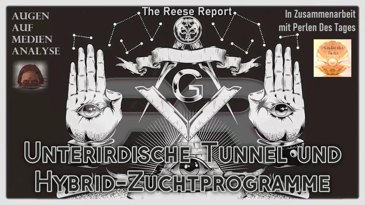 ⁣Unterirdische Tunnel und Hybrid-Zuchtprogramme (Reese Report - Deutsch)