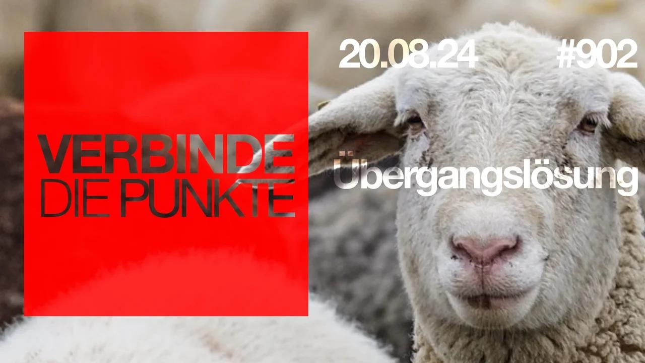 Verbinde die Punkte #902 - Übergangslösung (20.08.2024)