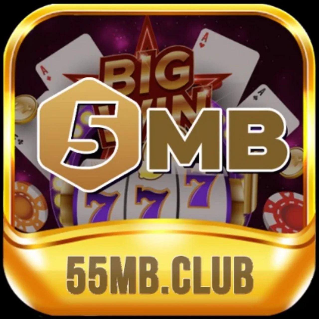 5MB