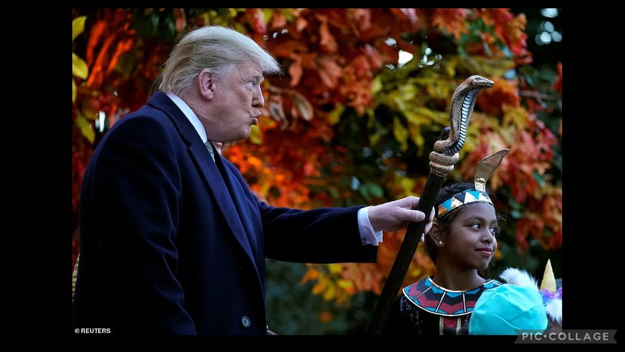 2024 TRUMP SNAKE POEM - PLS SHARE!